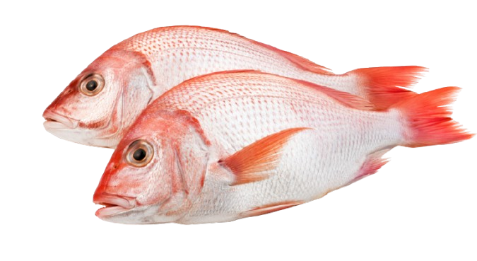 Aquacole