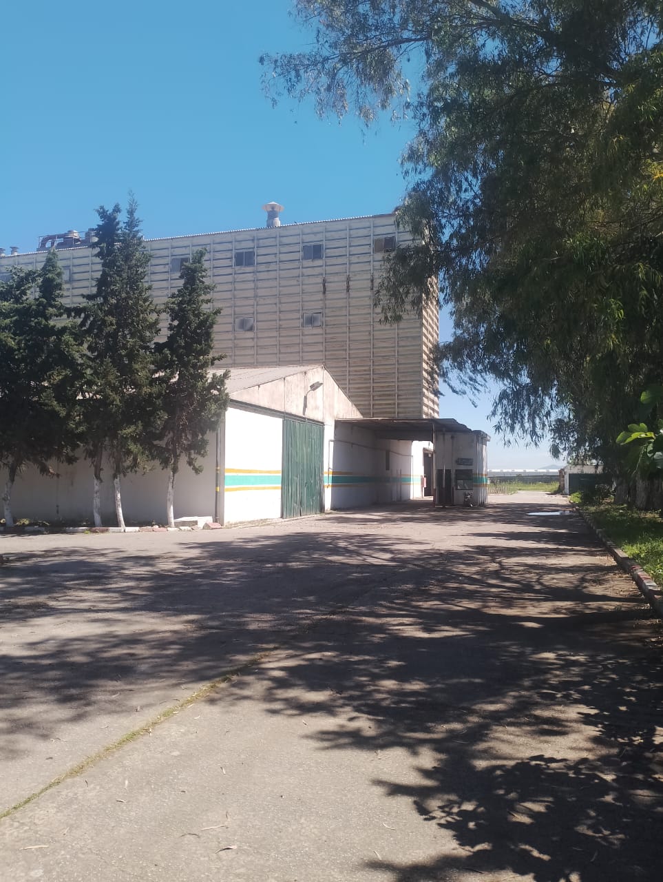 UAB Annaba — photo 1