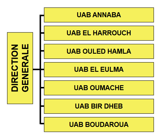 Organigramme des unités affiliées au Groupe